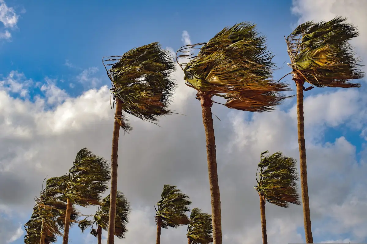 Como afecta viento a pérgola bioclimática